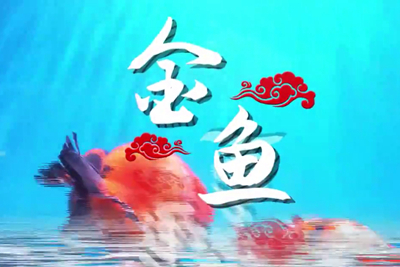 Ƶ.jpg